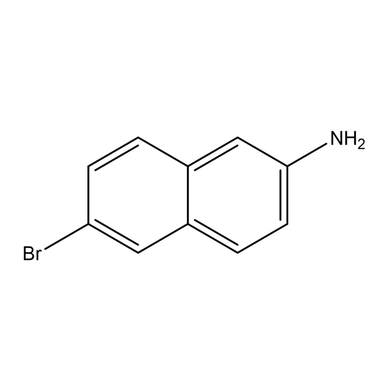 6-Bromonaphtalène-2-amine