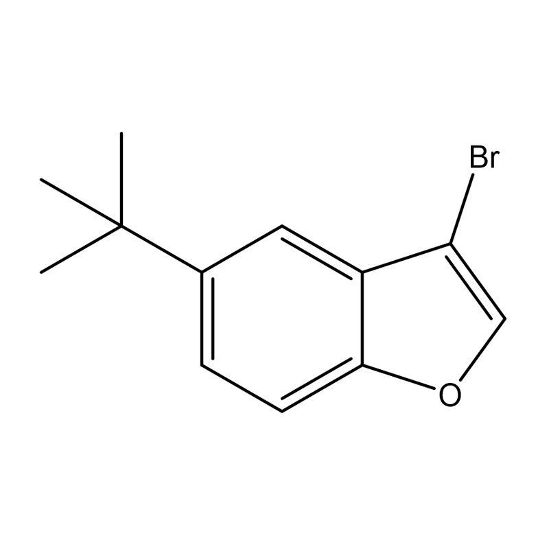 3-Bromo-5-tert-butylbenzofurane